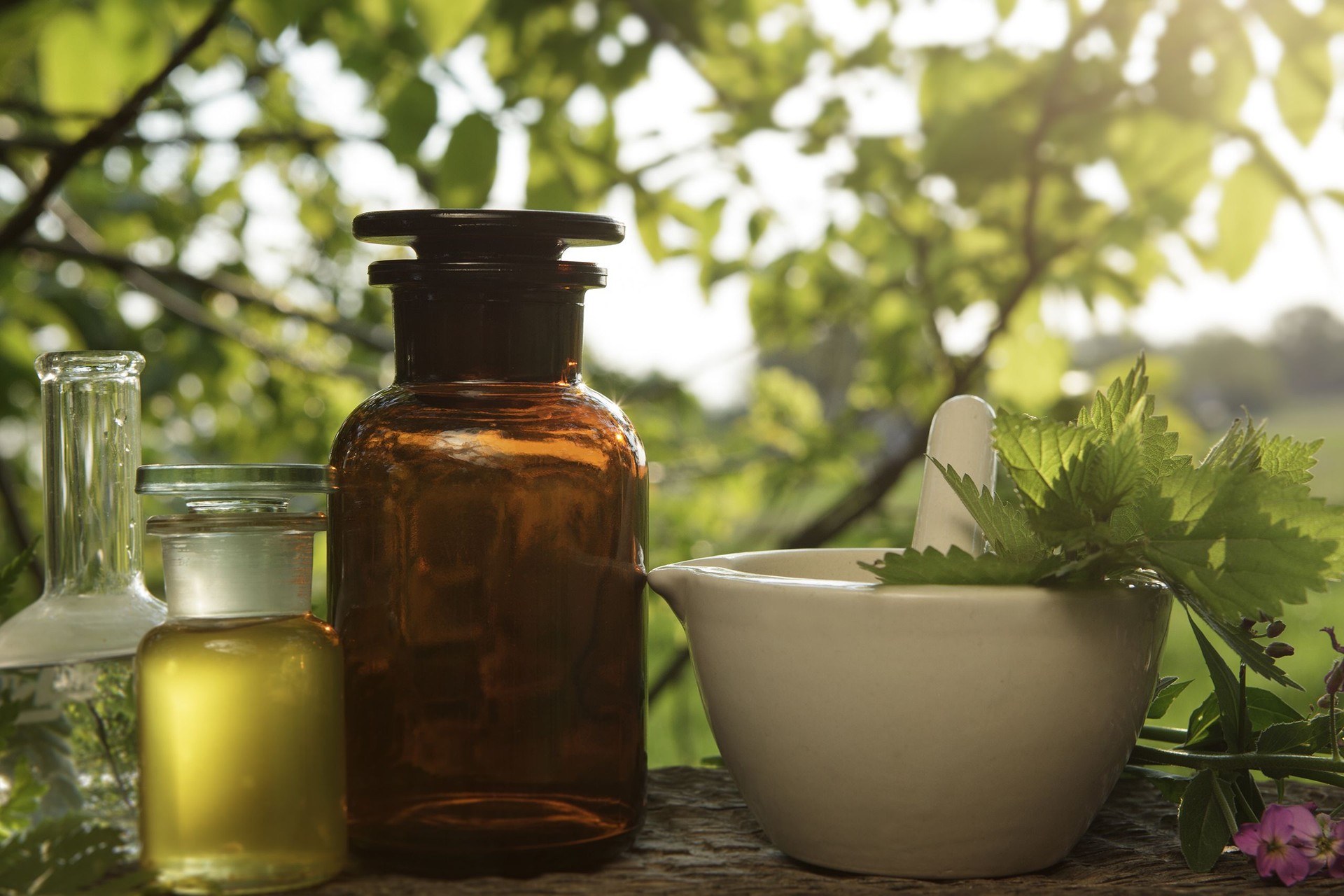 Herbal Medicine Preparation Outdoors